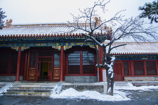 北京故宫雪景