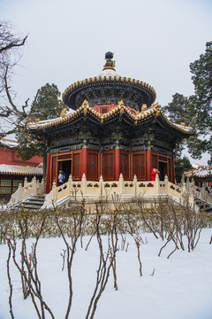 北京故宫御花园雪景