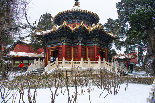 北京故宫御花园雪景