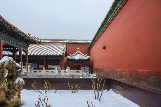 北京故宫御花园雪景