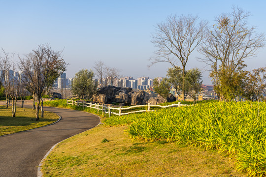 滇池湿地