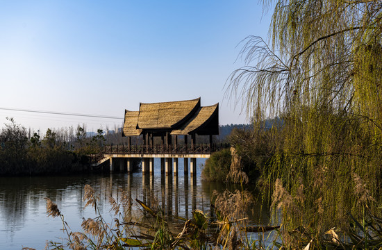 滇池湿地