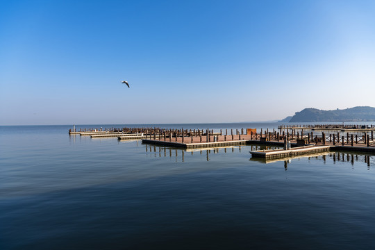 滇池湿地