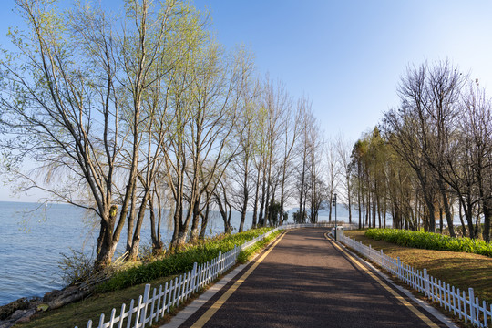 滇池湿地