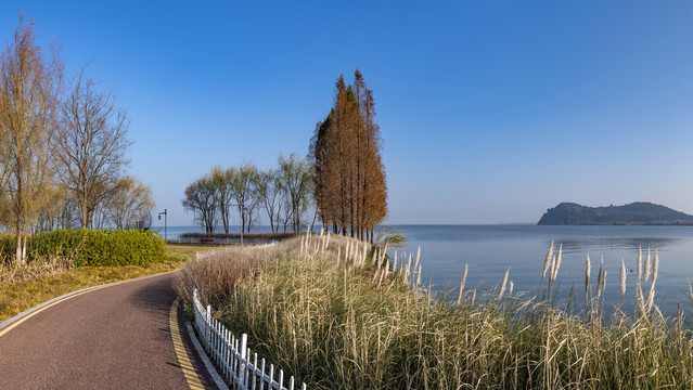 滇池大码头湿地