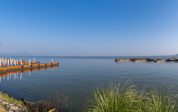 滇池大码头湿地