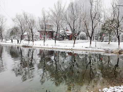 雪中兴庆宫