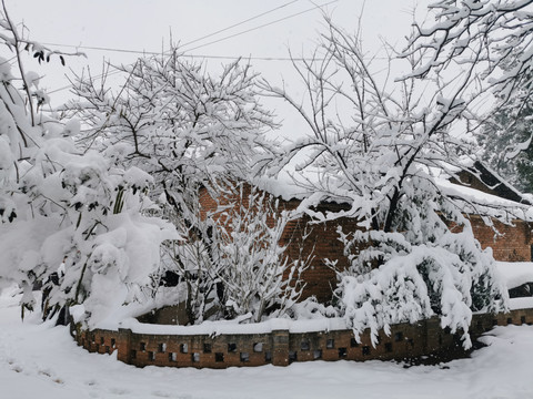 大树与老房子乡村雪景