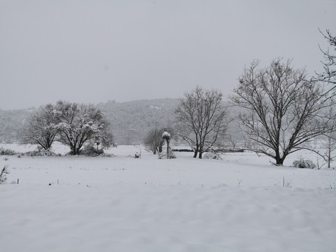 乡村雪景瑞雪兆丰年