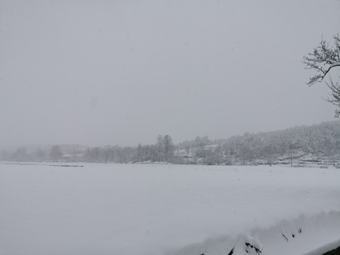 乡村雪景瑞雪兆丰年