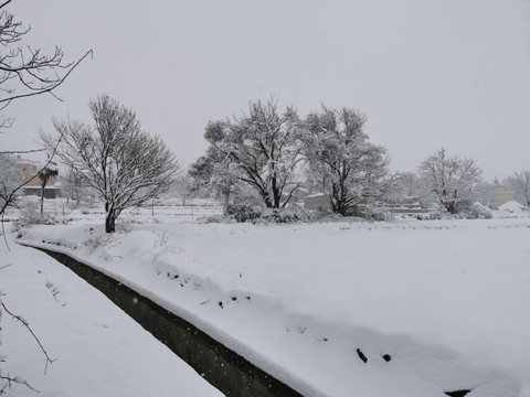 乡村雪景瑞雪兆丰年