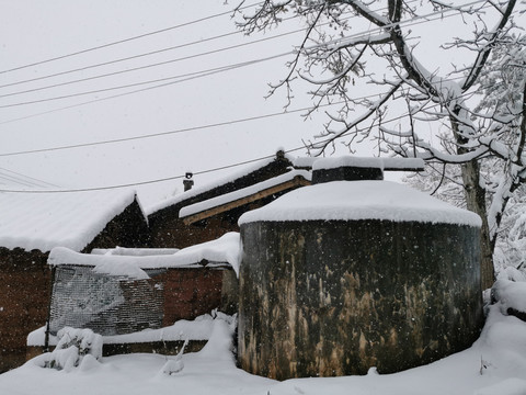 老树老屋乡村雪景