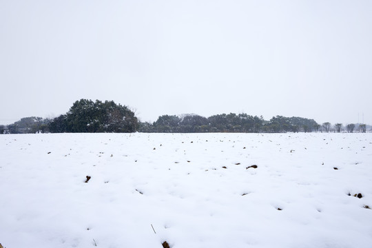 雪地