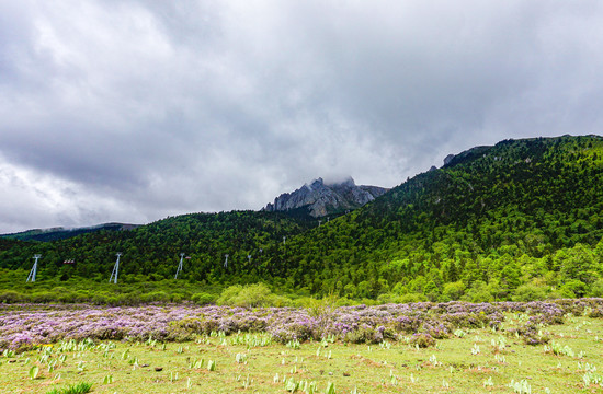 香格里拉