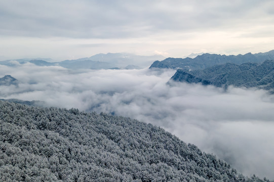 金佛山云海雪景