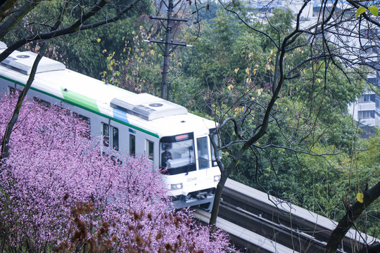 开往春天的列车