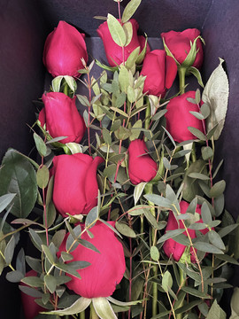 一束鲜花
