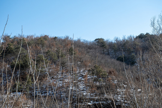 冬日山山梁风景