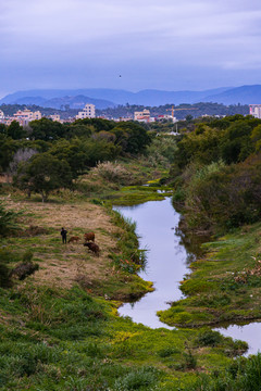 乡野水域田园