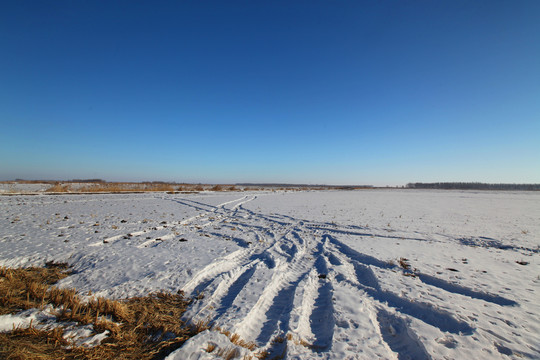 白雪覆盖的大地