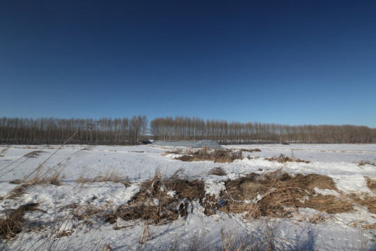 白雪覆盖的大地