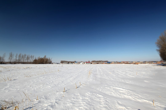 白雪覆盖的大地
