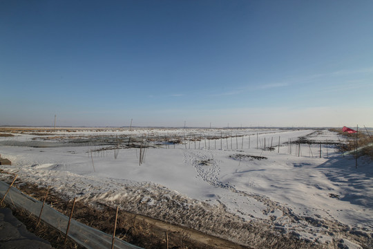 白雪覆盖的大地