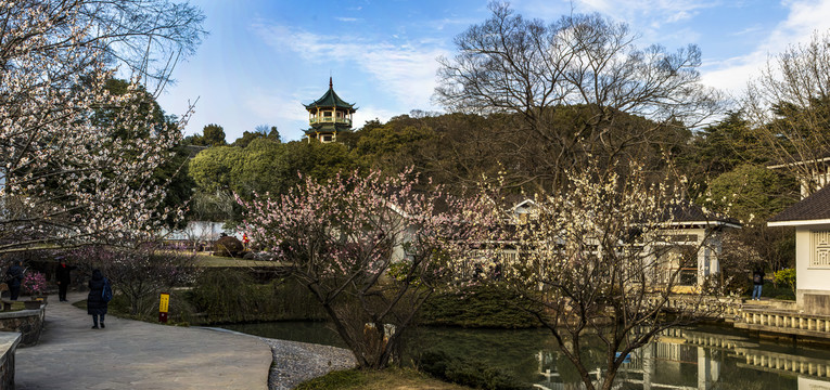 无锡梅园风景全景图