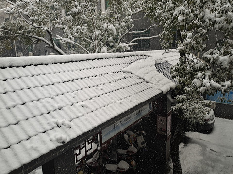 屋顶上的白雪