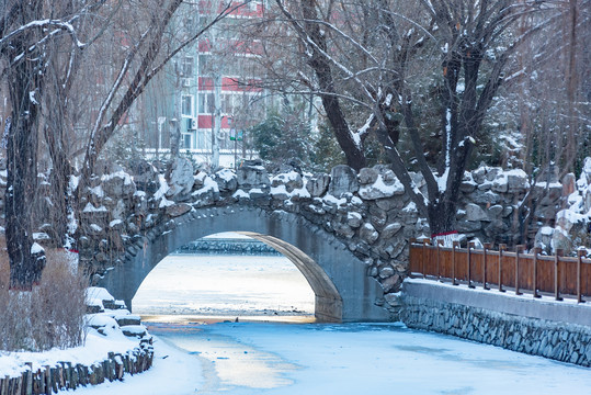 冬天下完雪的城市公园