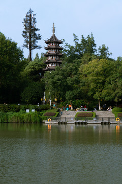南京白鹭洲公园风景