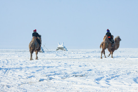 雪原蒙古族骑骆驼