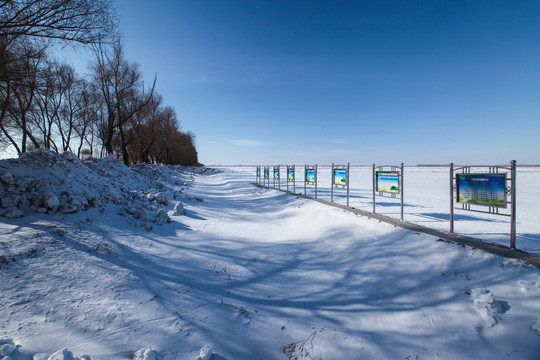 白雪覆盖的大地
