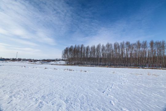 白雪覆盖的大地
