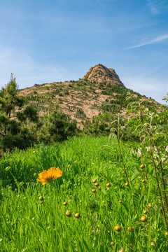 大乳山