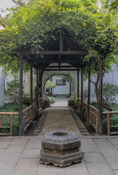 园林景观
