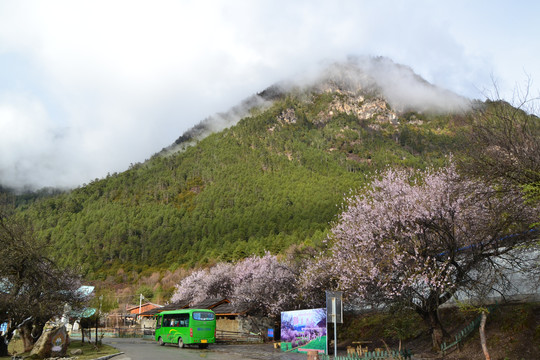 西藏南伊沟