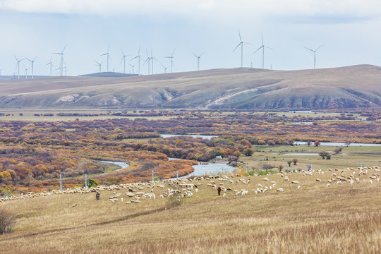 秋季草原湿地羊群风电场