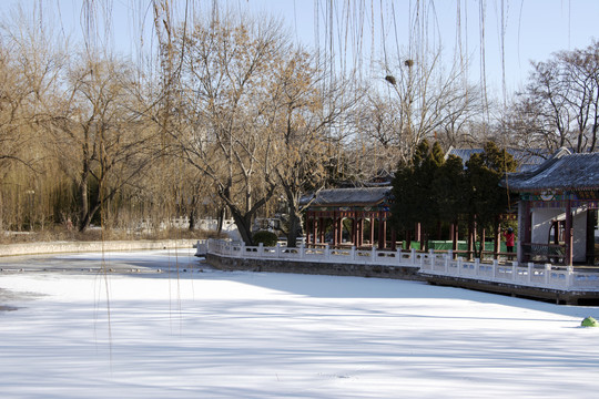 人民公园冬景
