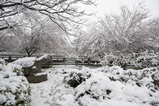 公园雪景