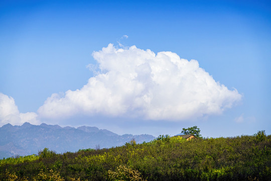 绿色青山蓝天白云