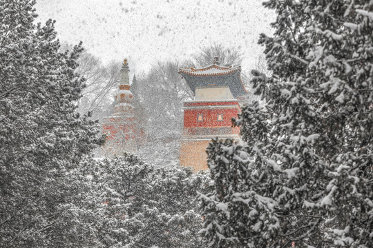 雪中颐和园