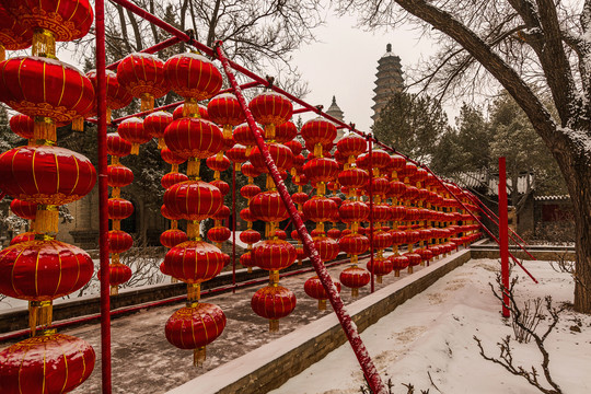 中国山西永祚寺双塔冬雪风光