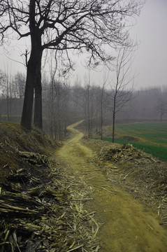 田间小路