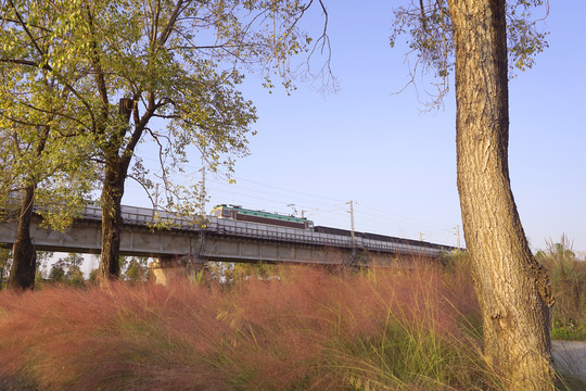 成都玉石湿地公园上铁路桥火车