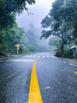 热带雨林