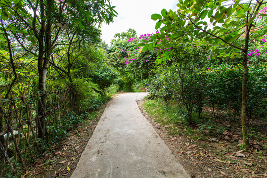 桂平北回归线公园观光步道