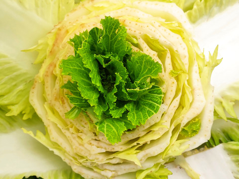 白菜菜心