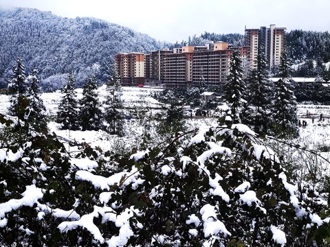 雪地景色