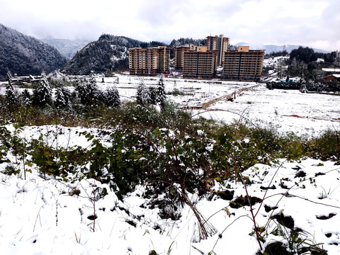 雪地景色